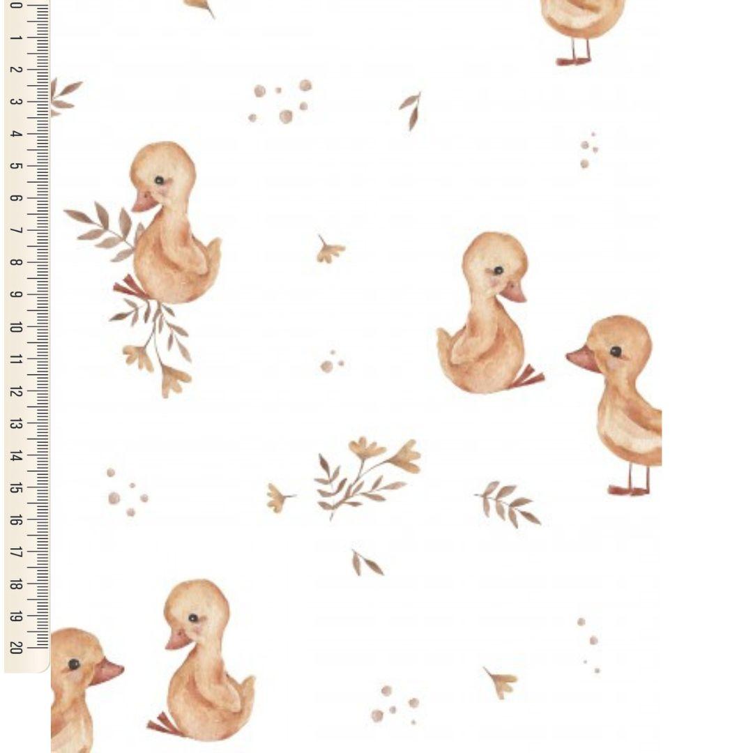 DOBLE GASA DULCES PATITOS