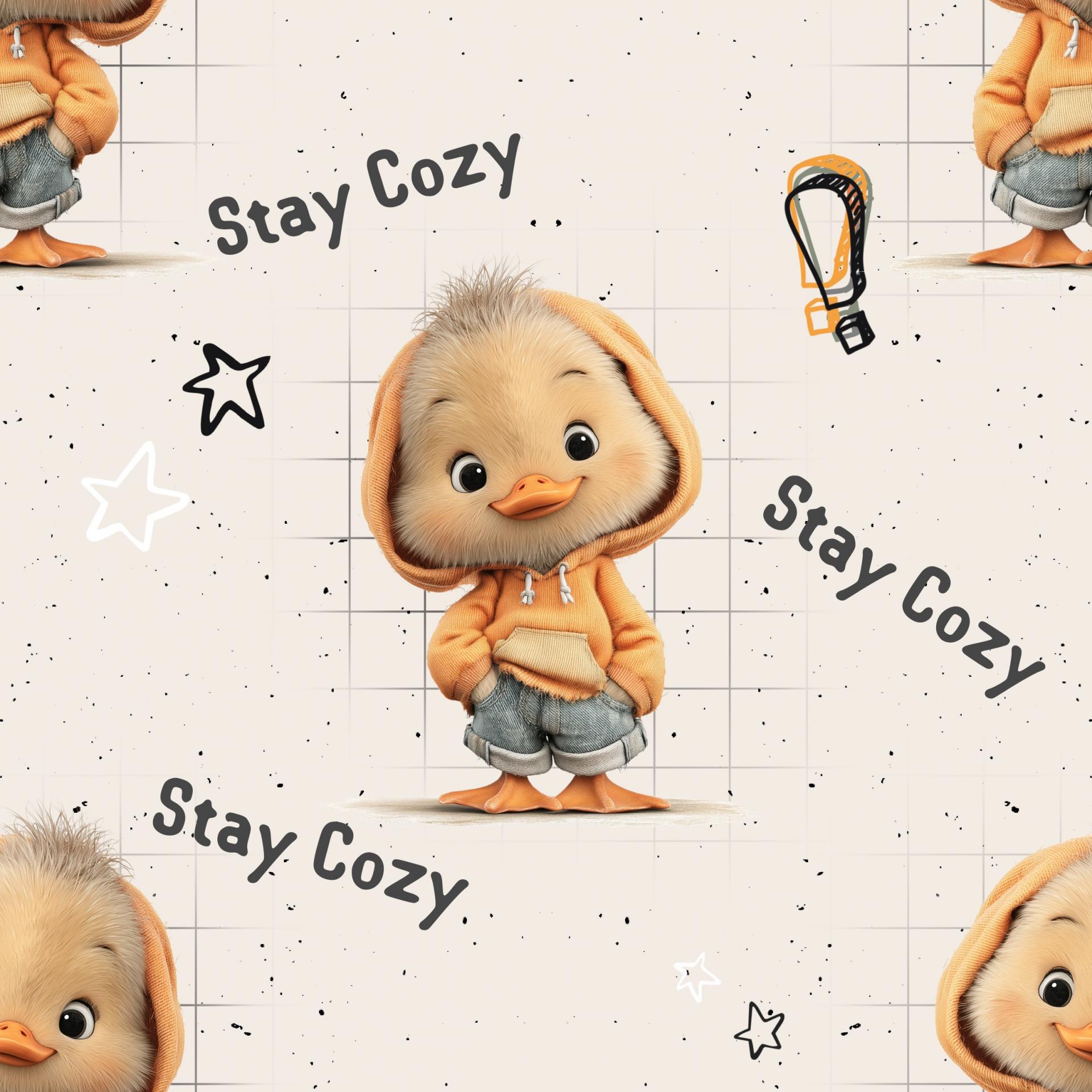 POLLITO CALLEJERO   ( EN 10 TEJIDOS DISTINTOS )