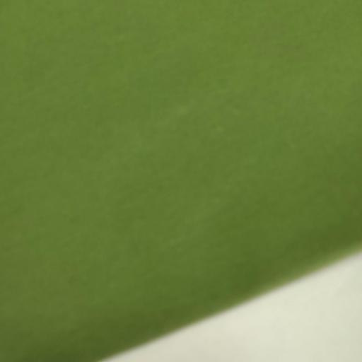  PUNTO CAMISETA ALGODÓN VERDE MUSGO [0]