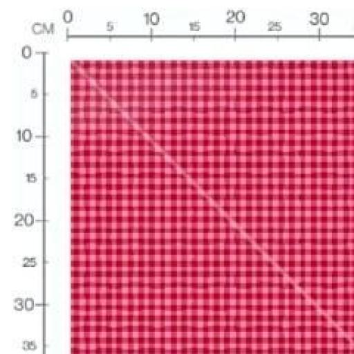  VICHY PEQUEÑO  ROJO Y ROSA        ( EN 10 DISTINTOS ) 