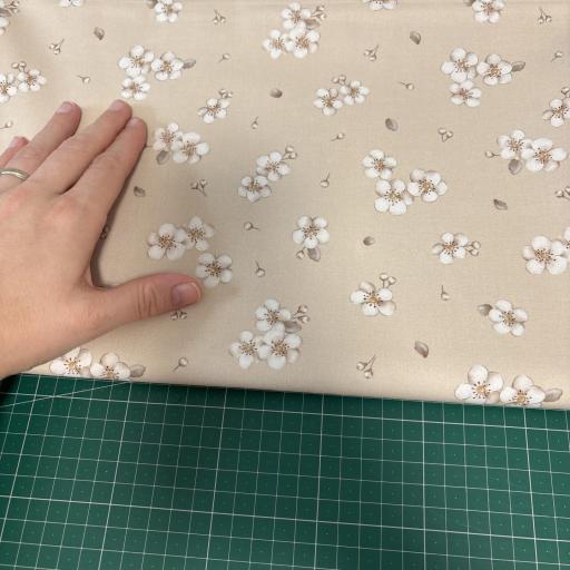 Imagen 20276682 de valoración de FLORES BLANCAS SOBRE ARENA  ( EN 10 TEJIDOS DISTINTOS )