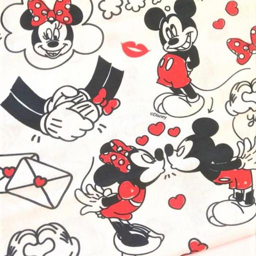  DISNEY MINNIE AND MICKEY CARTAS DE AMOR  [0]