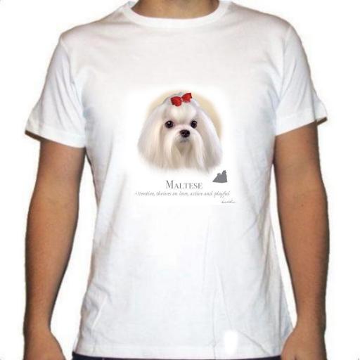 Camiseta Carita de Bichón Maltés
