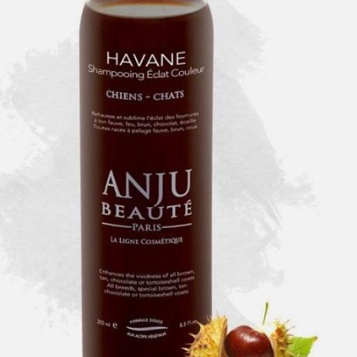 Champú Havane Anju Beaute pelo rojo o marrón [2]