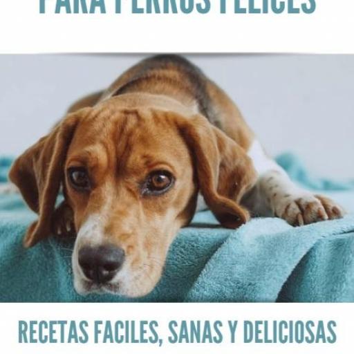15 + 5 Recetas caseras saludables para perros – Recetas sanas y fáciles para tu perro – Incluye bonus especial