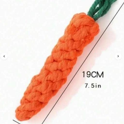 Zanahoria de cuerda  [1]