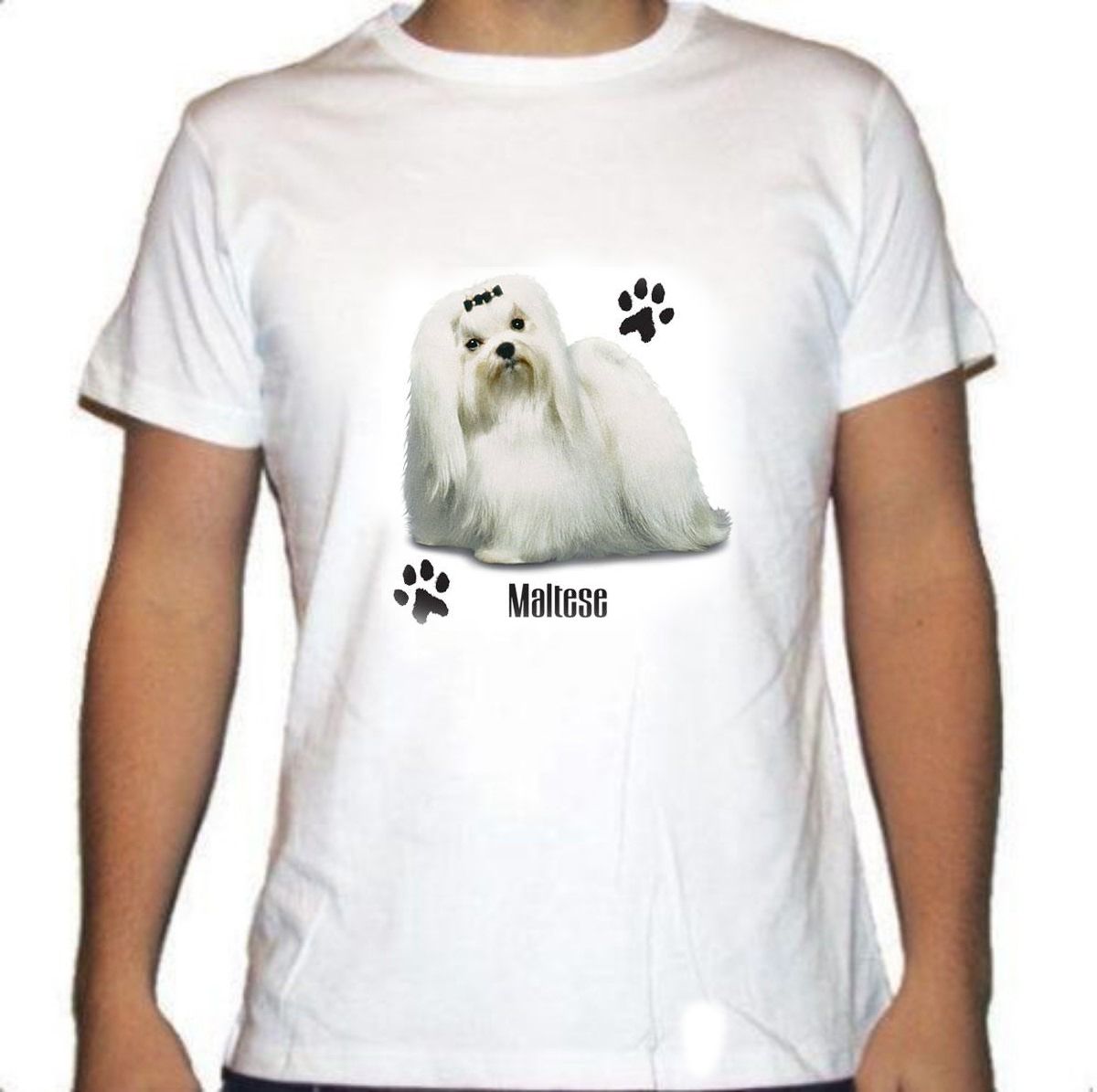Camiseta Bichón Maltés