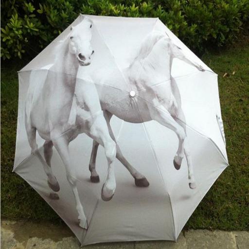 Paraguas caballos blancos
