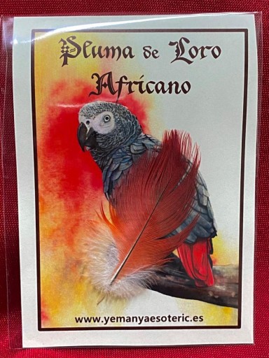 PLUMA DE LORO AFRICANO 4-6 cm.