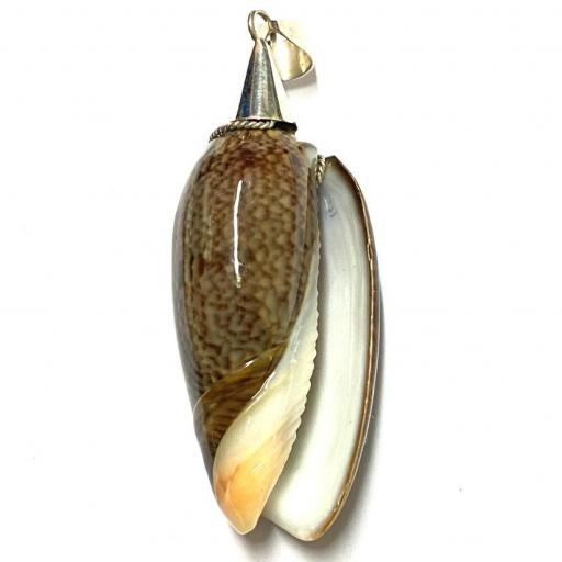 Colgante Ritualizado - Caracola Santeria Protección - Potente amuleto - Plata de Ley 925 - 6 cm aprox.  [1]