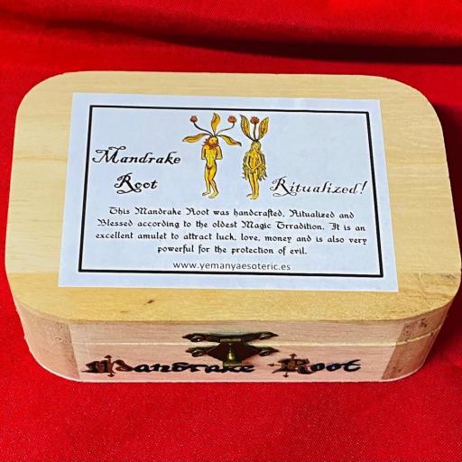 Raiz de Mandragora pareja Ritualizada en caja de madera  [3]