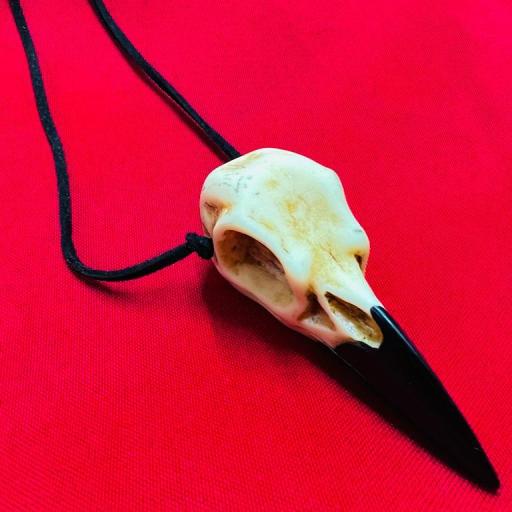Amuleto Colgante Craneo Cuervo 7.5  cm - incluye cordón