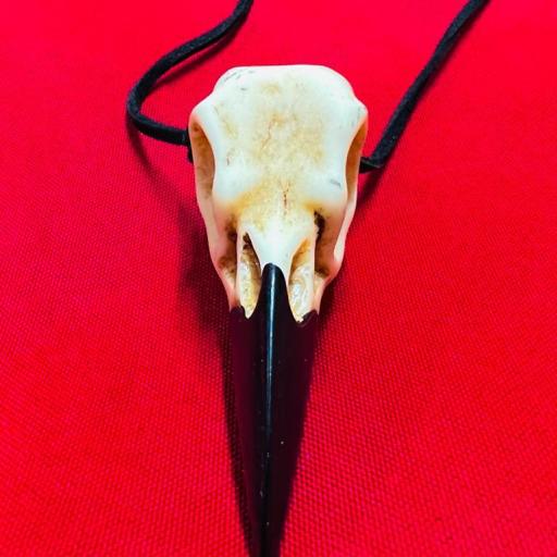 Amuleto Colgante Craneo Cuervo 7.5  cm - incluye cordón [1]