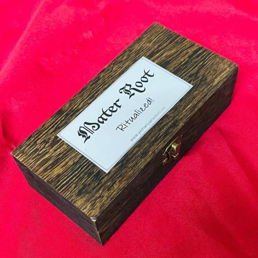 Master Root - Raiz Maestra Ritualizada en caja [2]