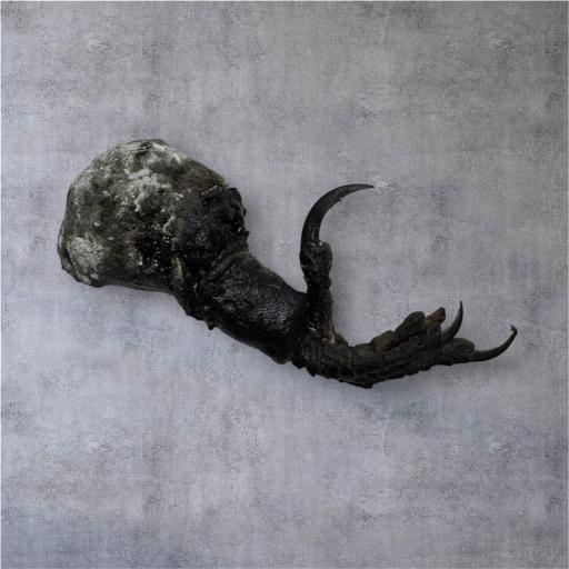 Potente Amuleto Consagrado por Hougan  - Amuleto Africano Voodoo [1]