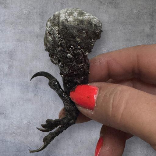 Potente Amuleto Consagrado por Hougan  - Amuleto Africano Voodoo