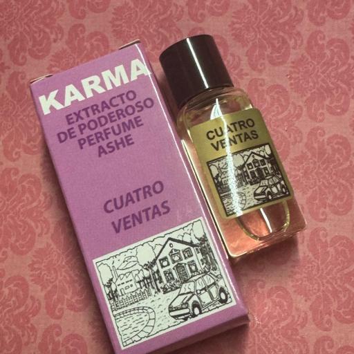 PERFUME ASHE CUATRO VENTAS [0]