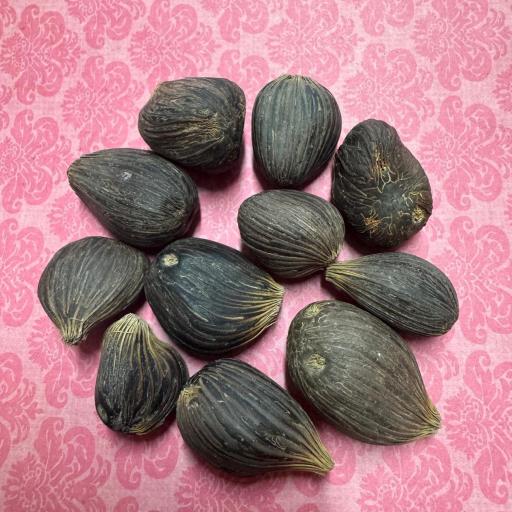 X 1 Ikin 3 ojos  [1]