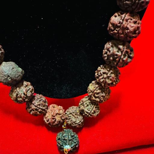 Collar Consagrado Semillas  - Collar semillas de Rudraksha de 5 mukhi ( protección )  [1]