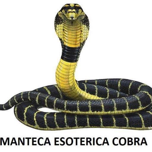 ☆ MANTECA ESOTERICA de COBRA ☆   [0]