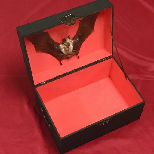 ✞ ✞ ✞ BOX ALTAR VAMPIRE ✞ ✞ ✞ RITUAL PAGAN WITCH WIZARD MAGIC WITCHCRAFTS