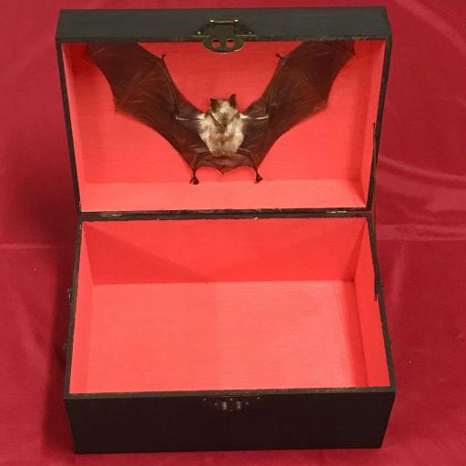✞ ✞ ✞ BOX ALTAR VAMPIRE ✞ ✞ ✞ RITUAL PAGAN WITCH WIZARD MAGIC WITCHCRAFTS [2]