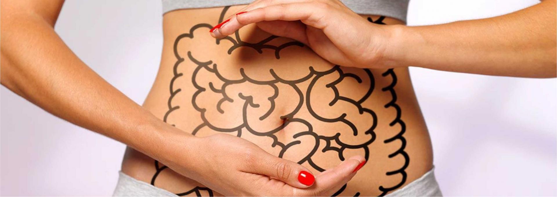 SISTEMA DIGESTIVO Y MICROBIOTA INTESTINAL