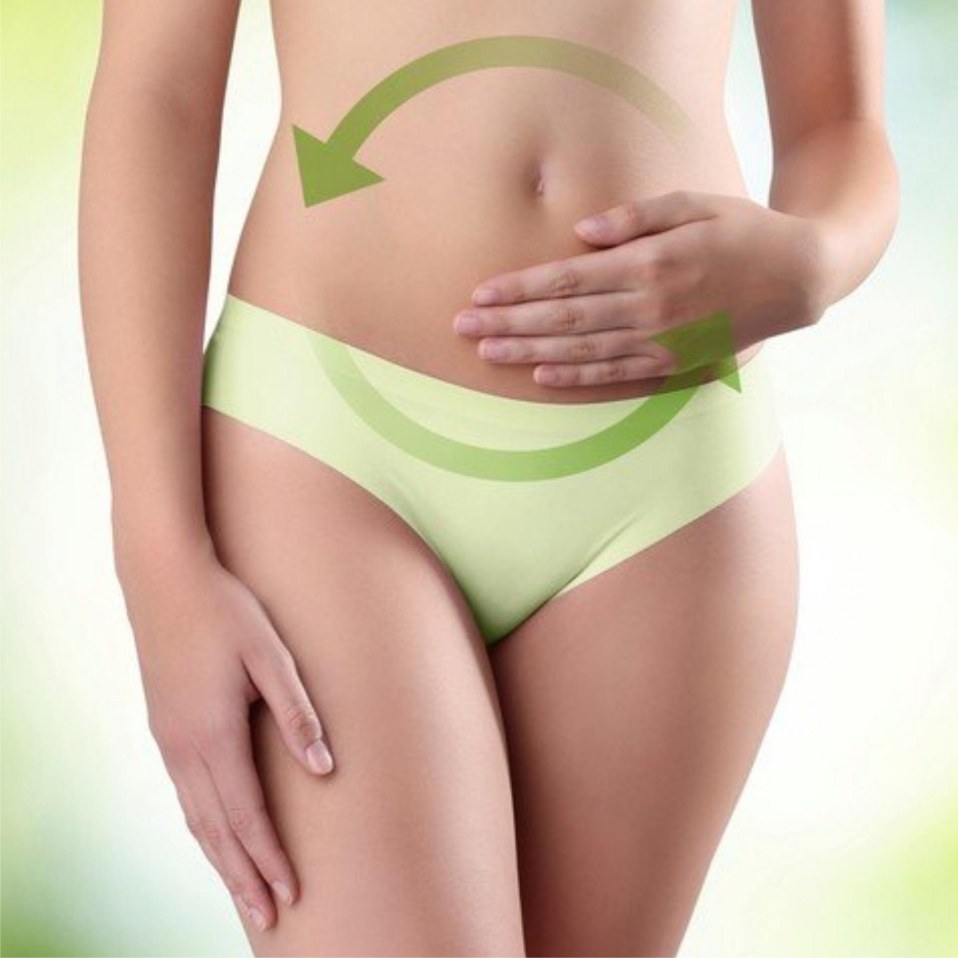 SISTEMA DIGESTIVO Y MICROBIOTA INTESTINAL