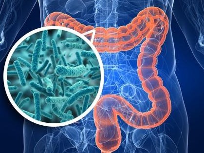 PRUEBA INT. DELGADO Y GRUESO (COLON) [0]