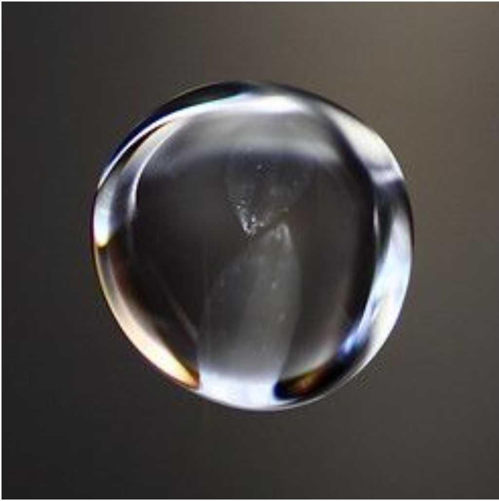 PLATA COLOIDAL