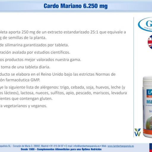 CARDO MARIANO, 90 COMPR. LAMBERTS [2]
