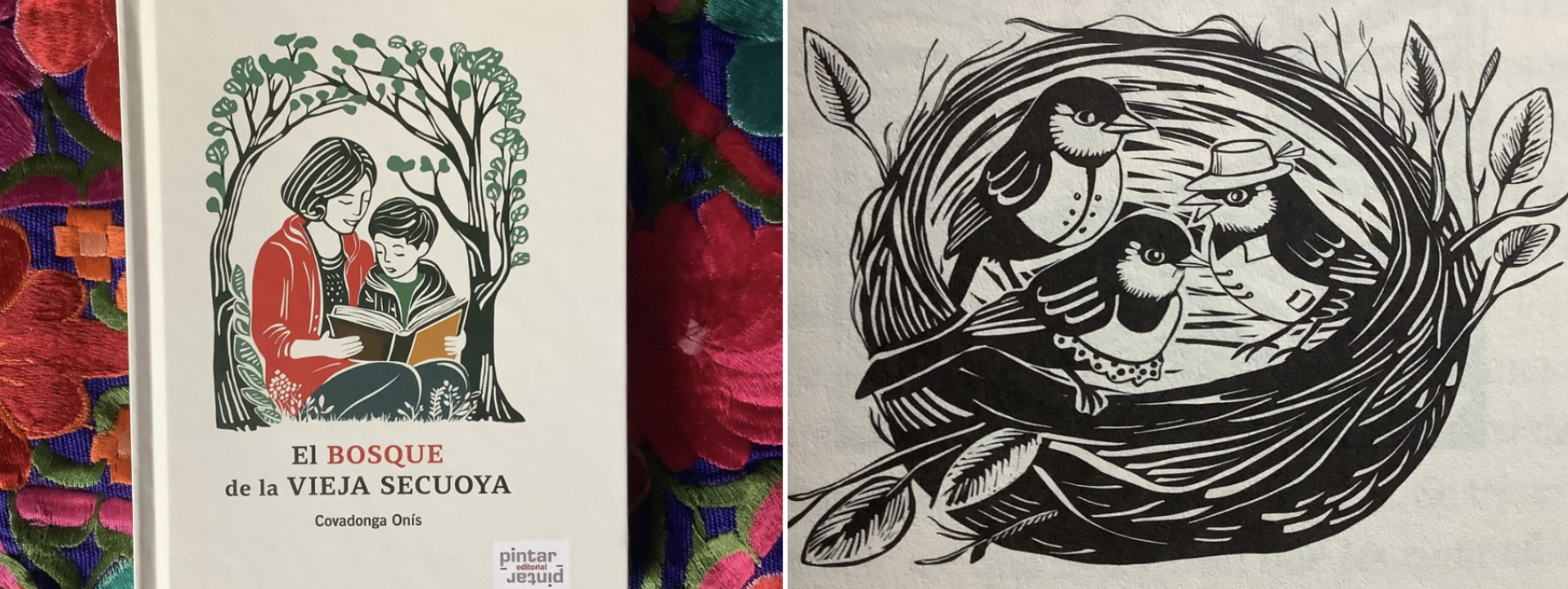 La Fundación Cuatrogatos reseña «El bosque de la vieja secuoya»
