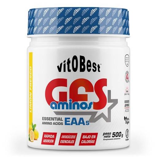 GFS Aminos 500gr