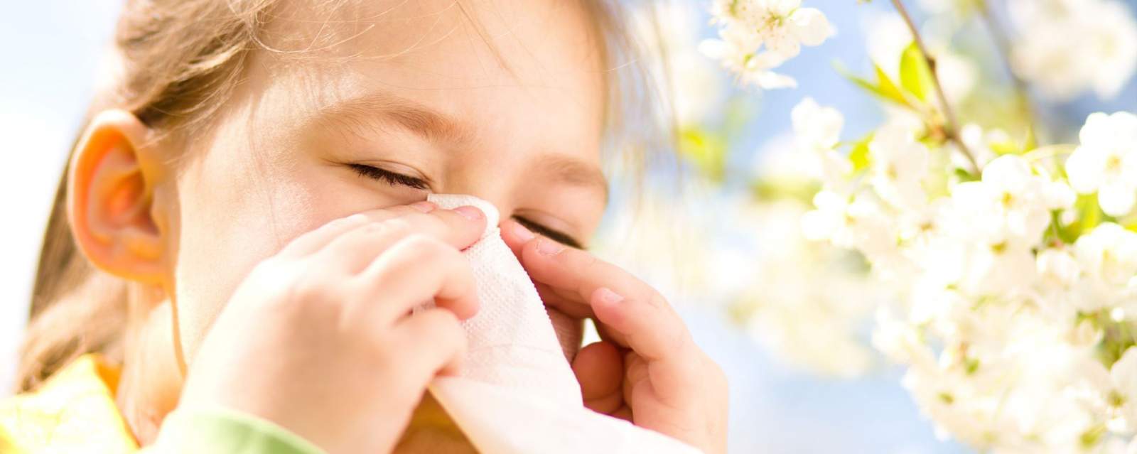 ALERGIA Y CONGESTIÓN NASAL