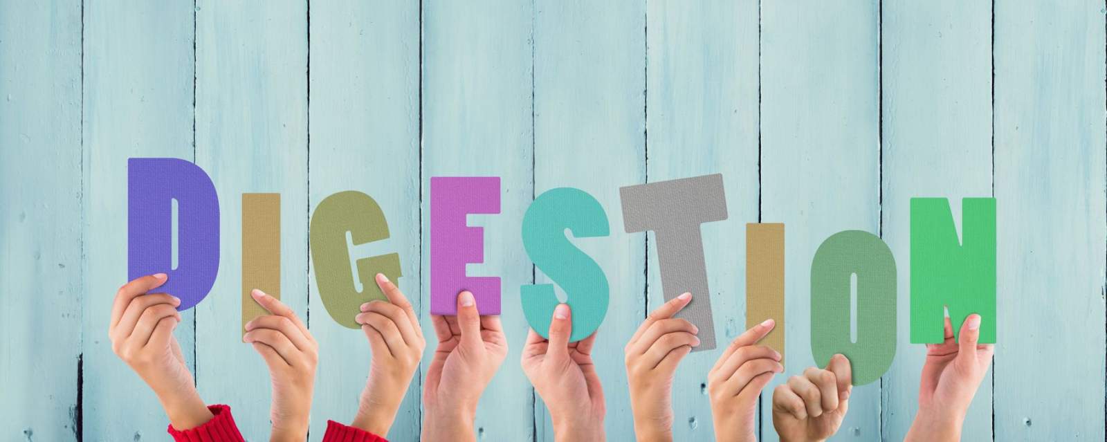 DIGESTIVO