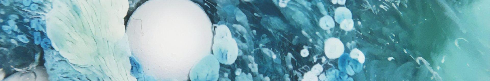 Cosmética y Belleza