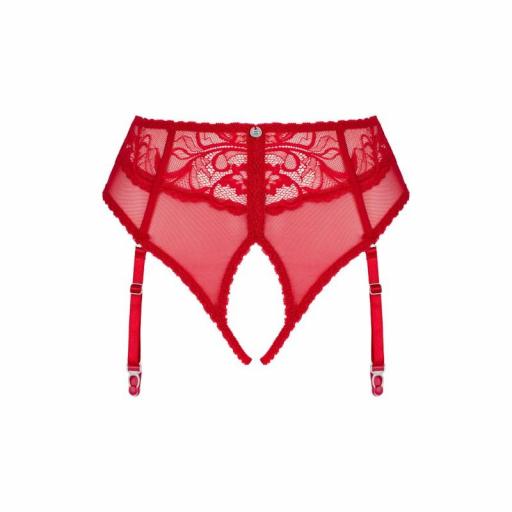 Braguitas con liguero Pasión Ardiente [11]