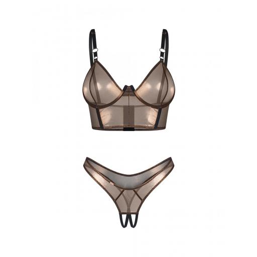 Conjunto Malla Brillante y Tanga Abierto [5]