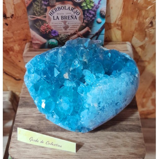Geoda de Celestina