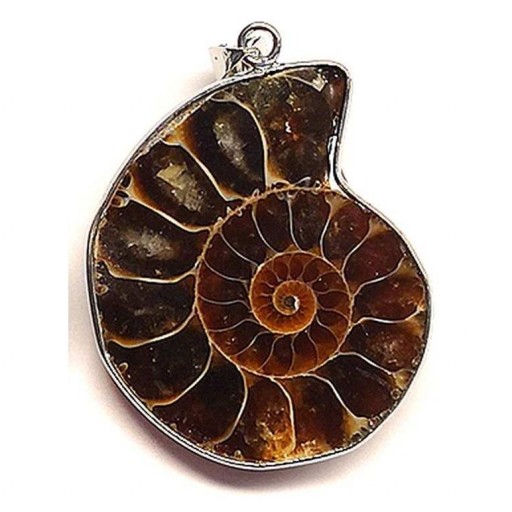 Colgante Ammonite