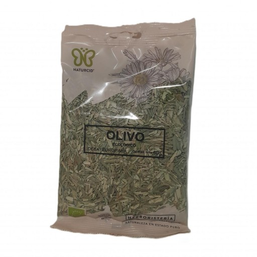 Olivo