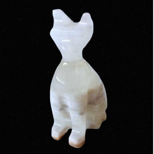 Gato de Ónix