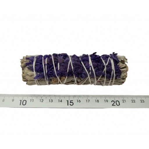 Salvia con Lavanda [1]
