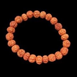 Pulsera de Semillas de Rudraksha