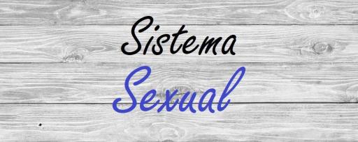 Sistema Sexual