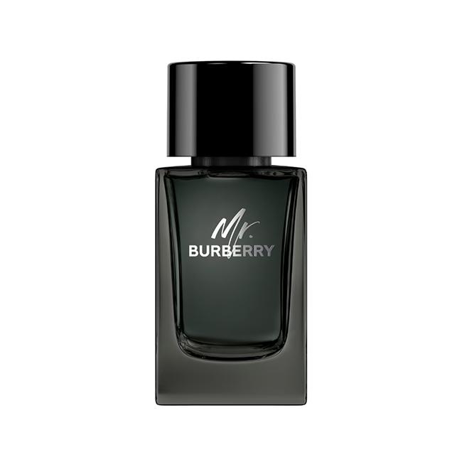 BURBERRY MR. BURBERRY EAU DE PARFUM 100ML TESTER