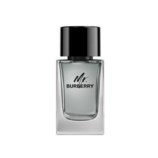 BURBERRY MR. BURBERRY EDT 100ML TESTER