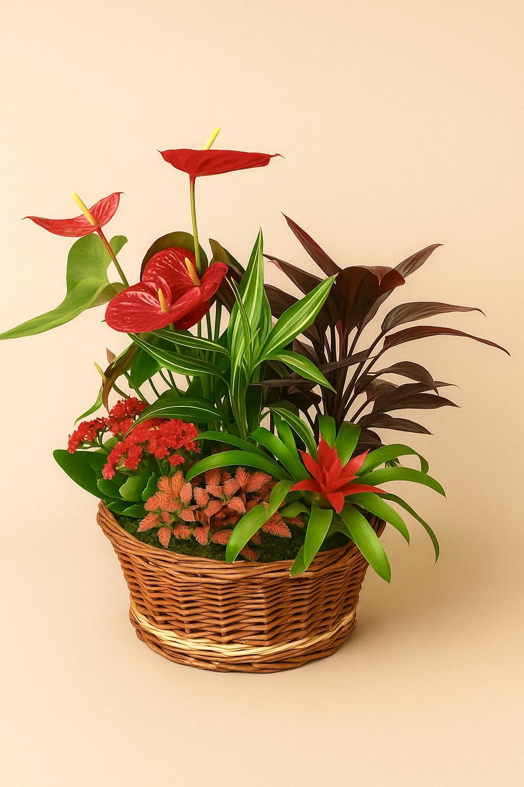 CESTA “Llama Esmeralda”