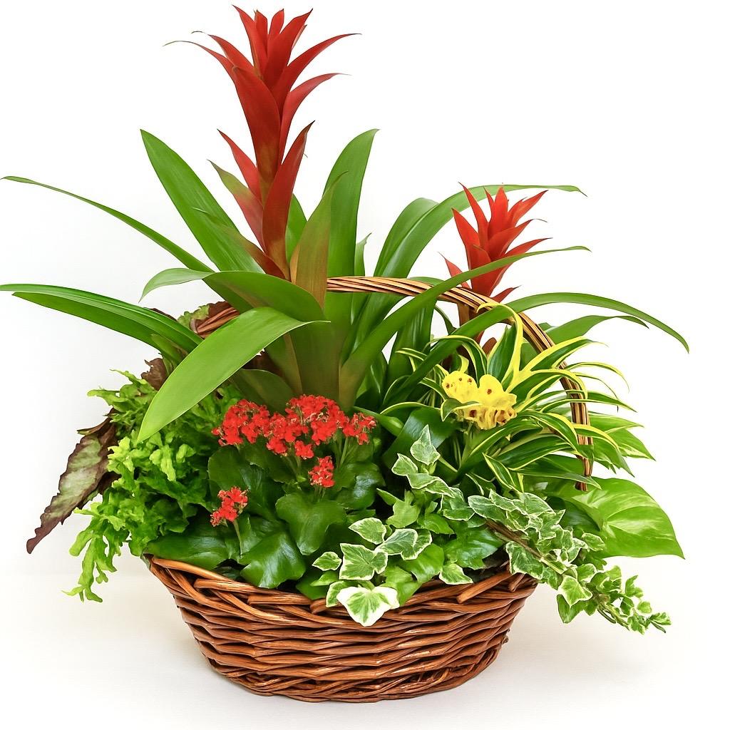 CESTA “Corazón de fuego”