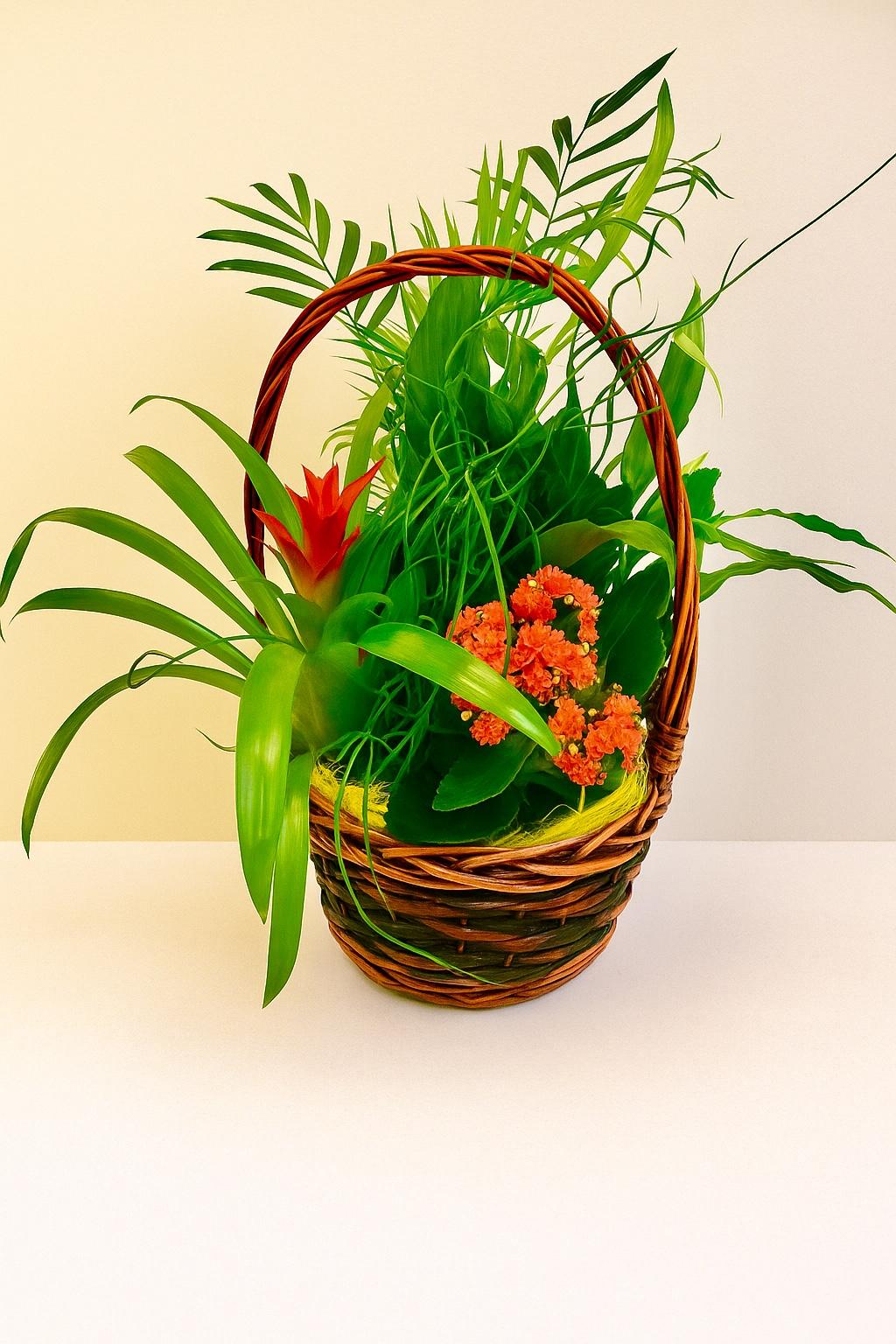 CESTA “Selva de Luz”